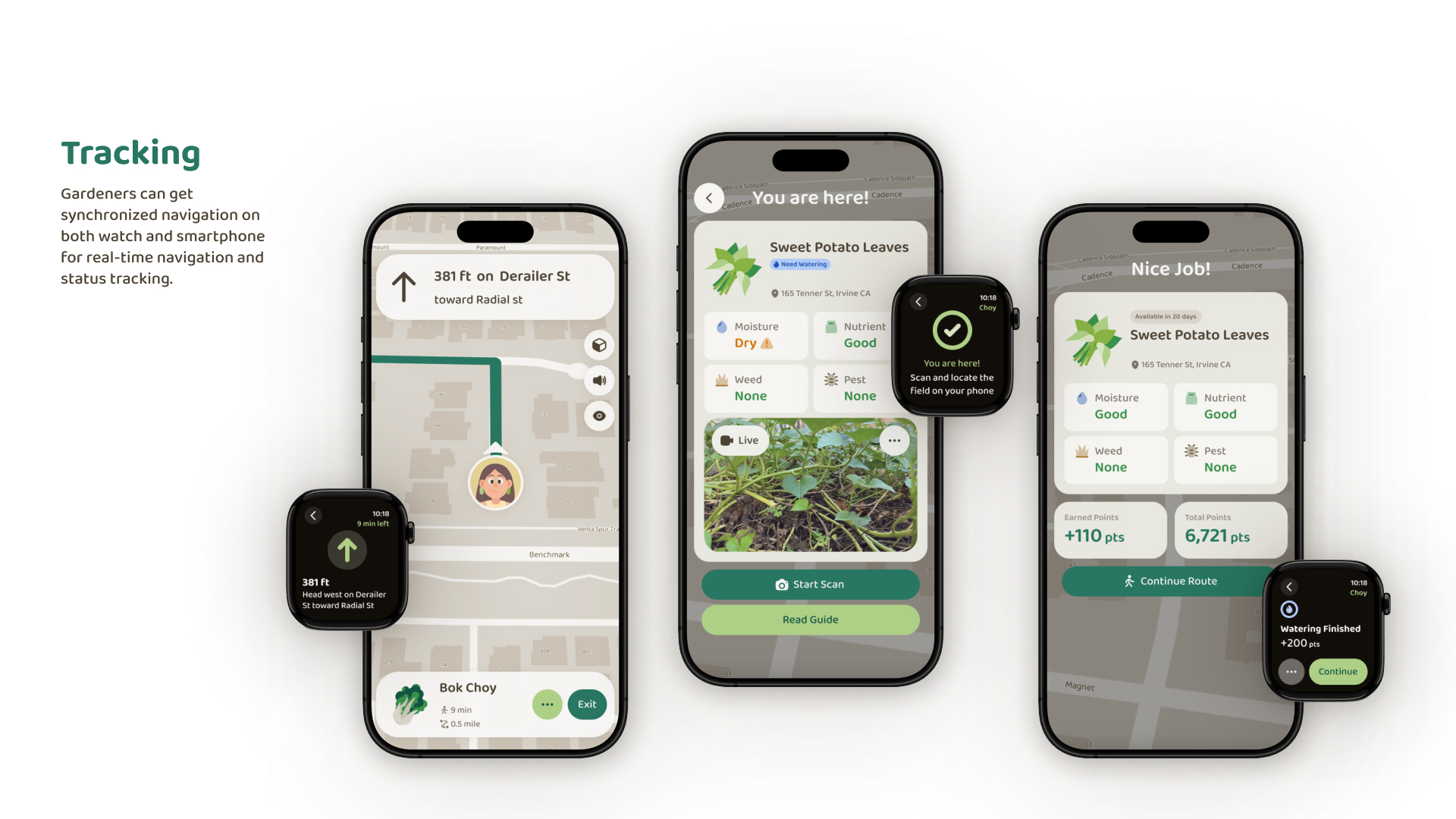 Choy service ecosystem frame 1